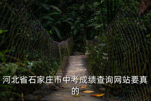 石家莊中考網(wǎng)，河北省石家莊市中考成績(jī)查詢網(wǎng)站要真的