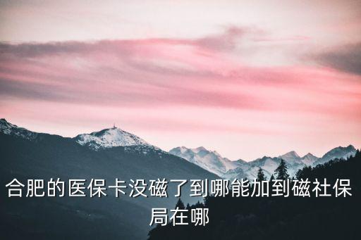 合肥的醫保卡沒磁了到哪能加到磁社保局在哪