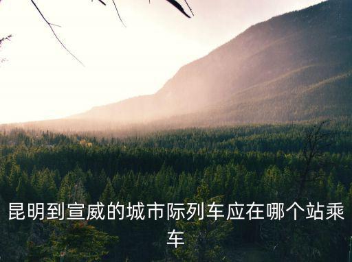 昆明到宣威，昆明到宣威的城市際列車應在哪個站乘車