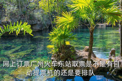 網(wǎng)上訂票廣州火車(chē)東站取票是不是有自動(dòng)提票機(jī)的還是要排隊(duì)