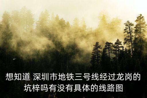 想知道 深圳市地鐵三號線經過龍崗的坑梓嗎有沒有具體的線路圖