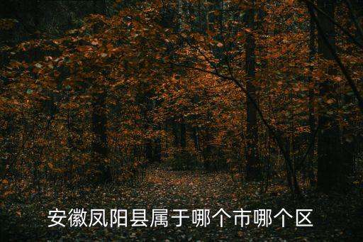 鳳陽縣，鳳陽縣屬于哪個市