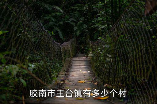 膠南市王臺鎮有多少個村