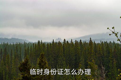 臨時身份證怎么辦理