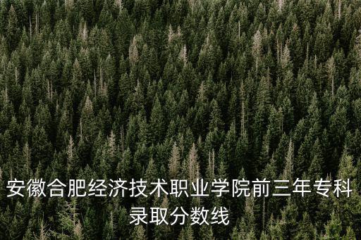 合肥經濟職業學院，安徽合肥經濟技術職業學院前三年專科錄取分數線
