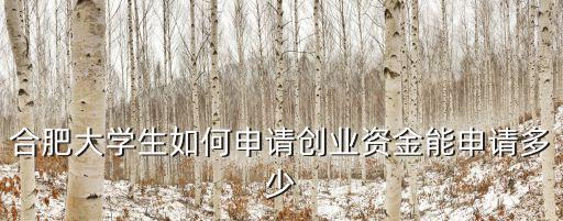 合肥大學生如何申請創(chuàng)業(yè)資金能申請多少