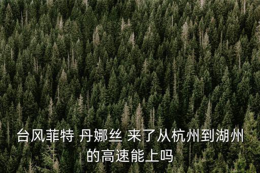臺風(fēng)菲特 丹娜絲 來了從杭州到湖州的高速能上嗎