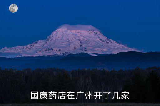 國康藥店在廣州開了幾家