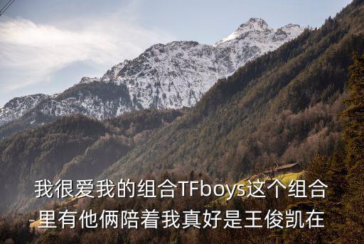 我很愛我的組合TFboys這個組合里有他倆陪著我真好是王俊凱在
