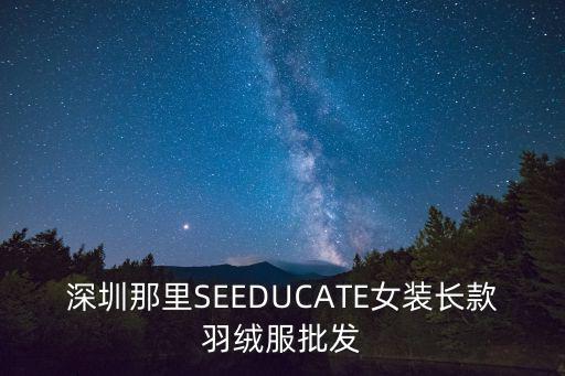 深圳那里SEEDUCATE女裝長款羽絨服批發