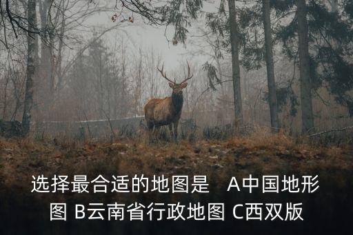 選擇最合適的地圖是   A中國地形圖 B云南省行政地圖 C西雙版
