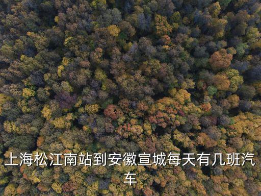 上海松江南站到安徽宣城每天有幾班汽車