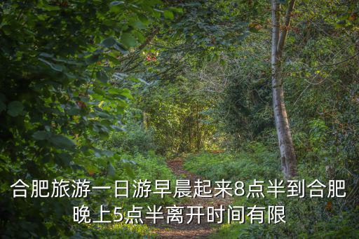 合肥周邊一日游，合肥旅游一日游早晨起來8點半到合肥晚上5點半離開時間有限