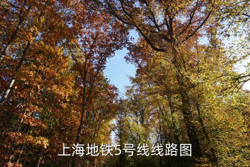 上海地鐵5號線線路圖
