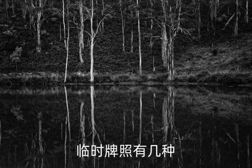 臨時(shí)號(hào)牌，關(guān)于臨時(shí)號(hào)牌