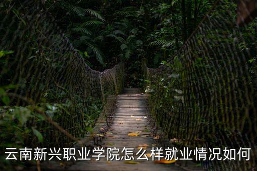 云南新興職業(yè)學(xué)院，云南新興職業(yè)學(xué)院怎么樣就業(yè)情況如何