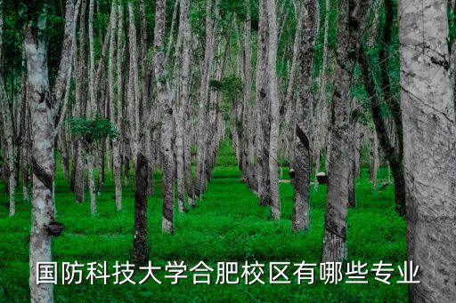 國防科技大學合肥校區有哪些專業