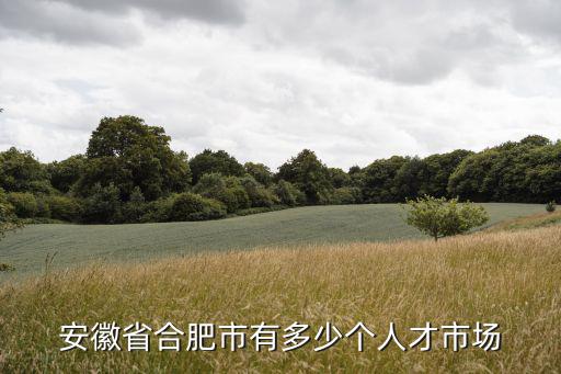 合肥人才市場，合肥有哪些人才市場