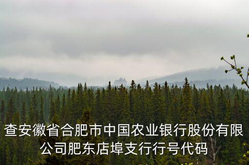 查安徽省合肥市中國農業銀行股份有限公司肥東店埠支行行號代碼