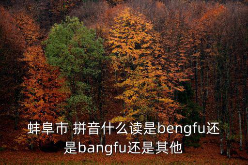 蚌阜市 拼音什么讀是bengfu還是bangfu還是其他