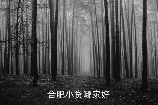 合肥小貸哪家好