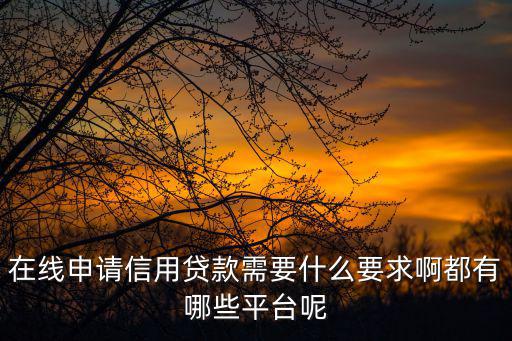 在線申請信用貸款需要什么要求啊都有哪些平臺呢