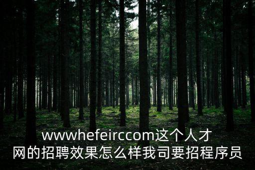 wwwhefeirccom這個人才網(wǎng)的招聘效果怎么樣我司要招程序員