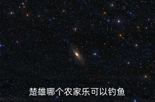 楚雄哪個農(nóng)家樂可以釣魚