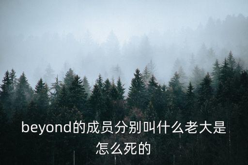 beyond的成員分別叫什么老大是怎么死的