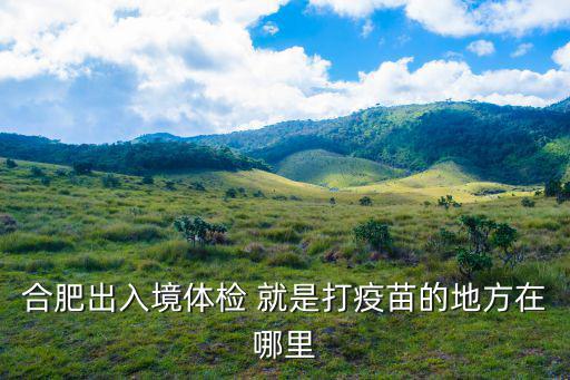 合肥出入境體檢 就是打疫苗的地方在哪里