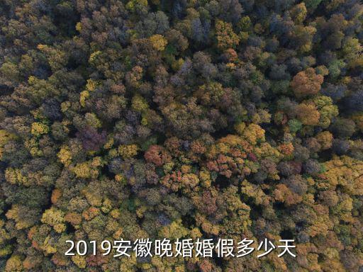 2019安徽晚婚婚假多少天