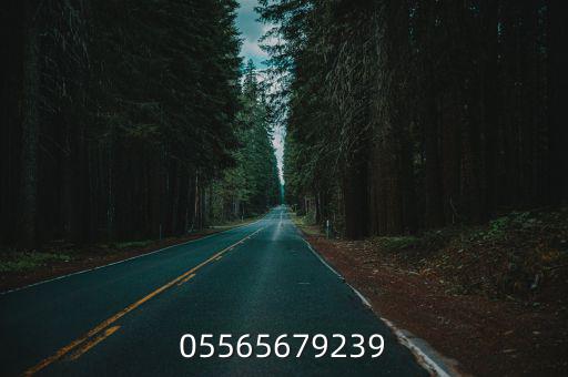 05565679239