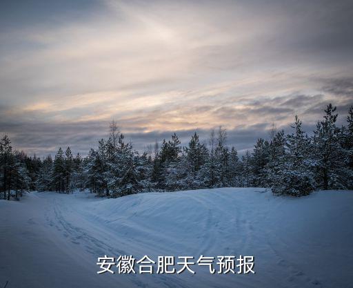 安徽合肥天氣預(yù)報