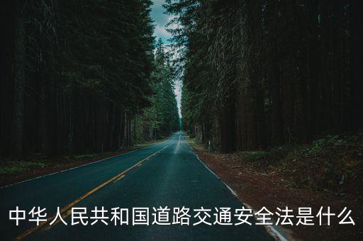 中華人民共和國道路交通安全法，中華人民共和國道路交通安全法是什么