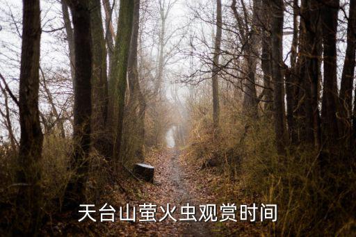 天臺(tái)山螢火蟲觀賞時(shí)間