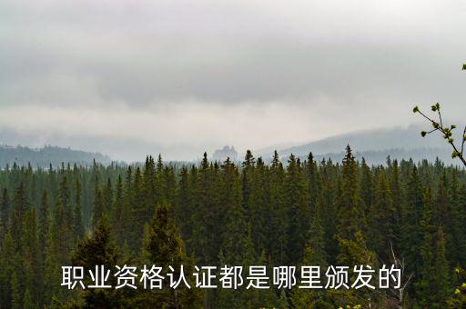 職業(yè)資格認證都是哪里頒發(fā)的