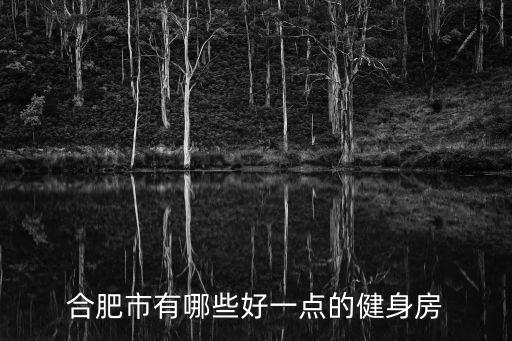 合肥市有哪些好一點(diǎn)的健身房