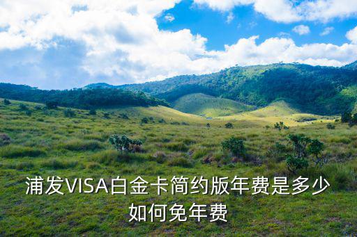 浦發VISA白金卡簡約版年費是多少如何免年費