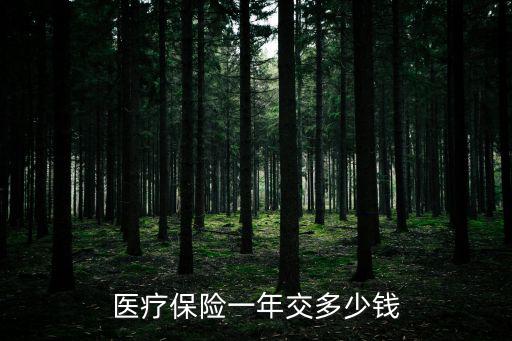 醫保多少錢，2021居民醫保一年交多少錢