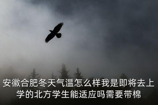 安徽合肥天氣，安徽合肥冬天氣溫怎么樣我是即將去上學的北方學生能適應嗎需要帶棉