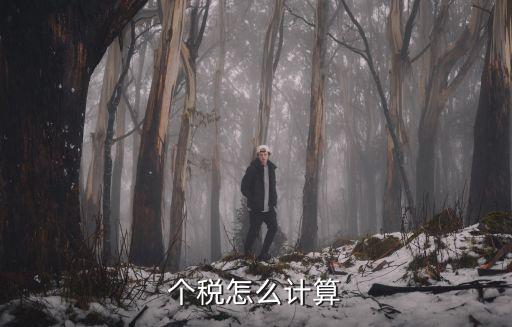個稅怎么計算