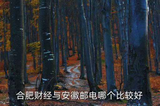 合肥財經與安徽郵電哪個比較好