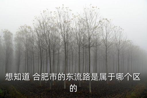 想知道 合肥市的東流路是屬于哪個區的