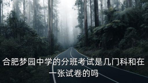 合肥夢園中學的分班考試是幾門科和在一張試卷的嗎