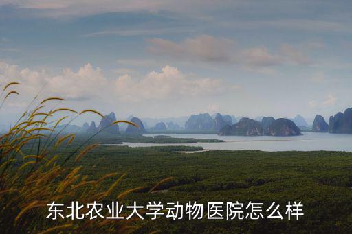東北農業大學動物醫院怎么樣
