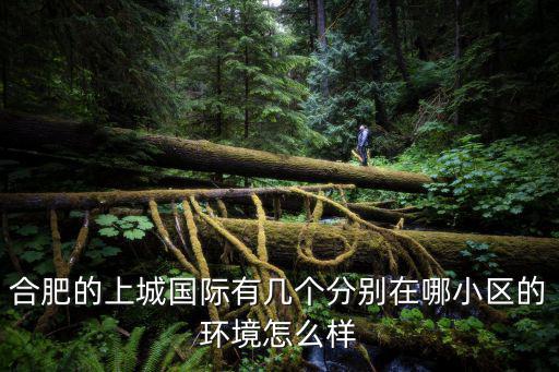 合肥的上城國際有幾個分別在哪小區的環境怎么樣