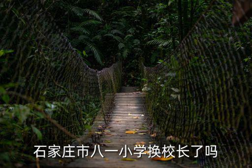石家莊市八一小學換校長了嗎