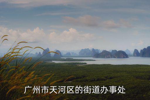 廣州市天河區的街道辦事處