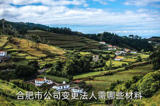 合肥市公司變更法人需哪些材料