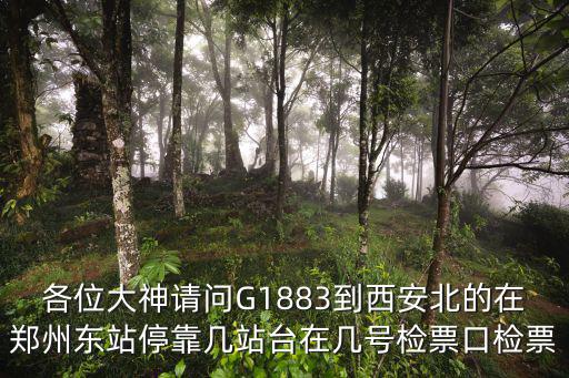 各位大神請問G1883到西安北的在鄭州東站停靠幾站臺在幾號檢票口檢票